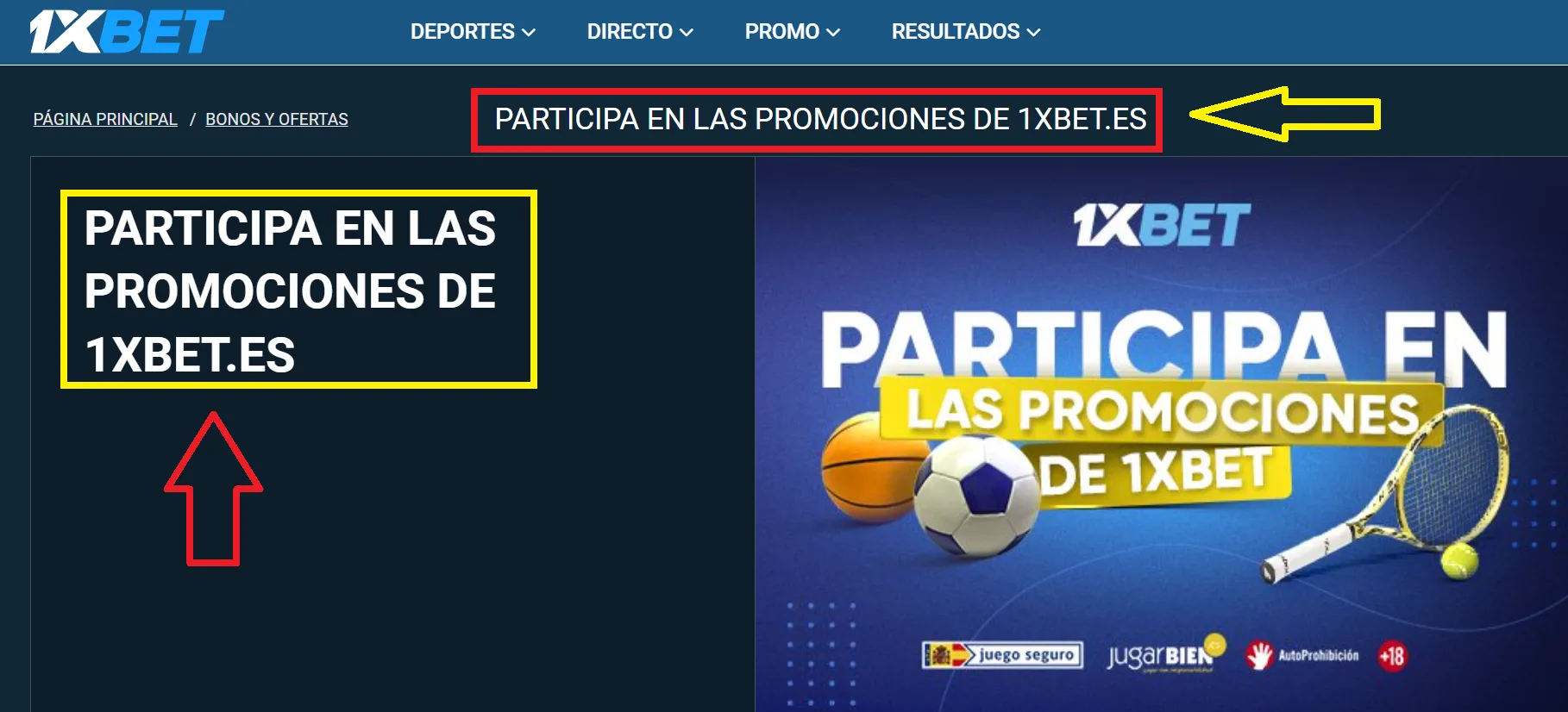 1xBet España: bono de bienvenida para nuevos jugadores